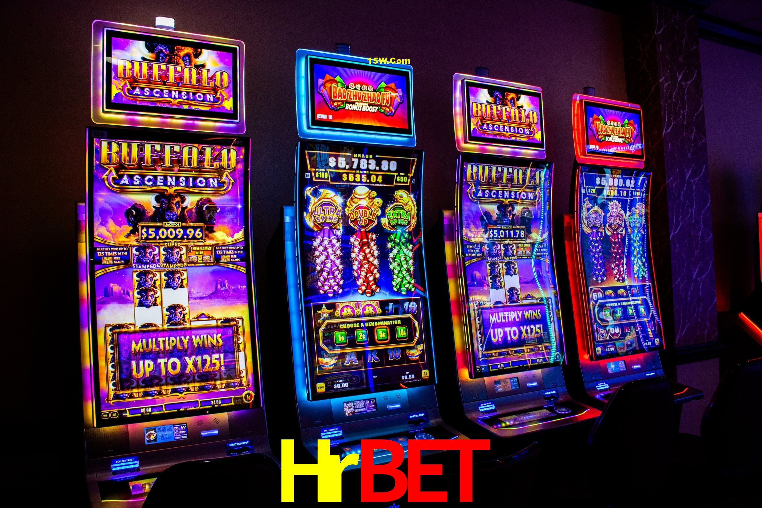 Bonus Features Hrbet